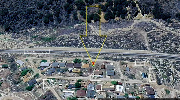 a view of a yard with plants