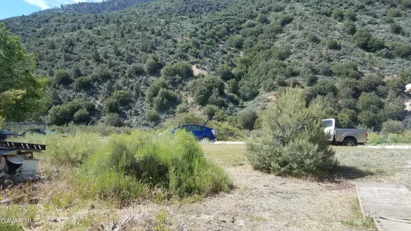 a view of a dry yard with large trees