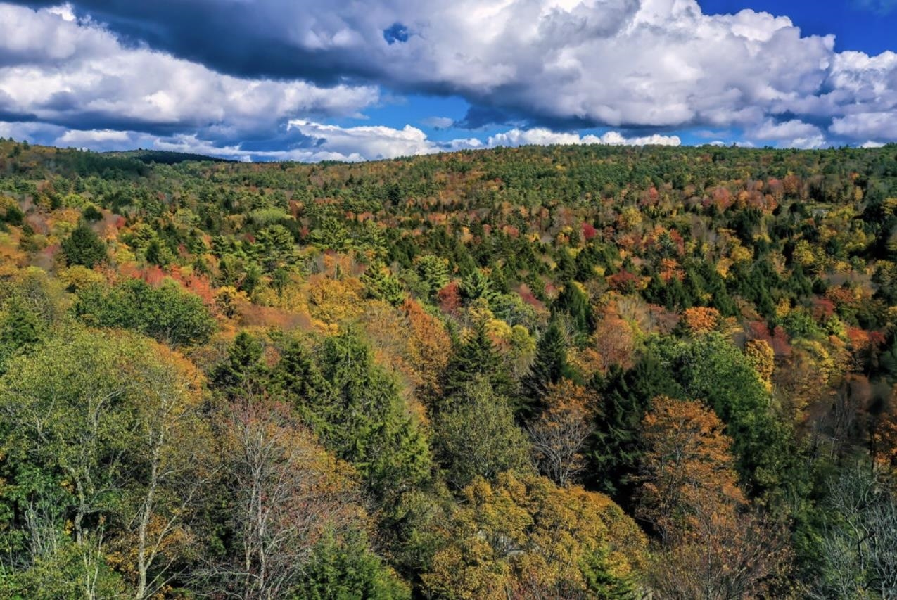 144 Keyes Hollow Road Lempster, NH 03605 - Photo 57 of 59