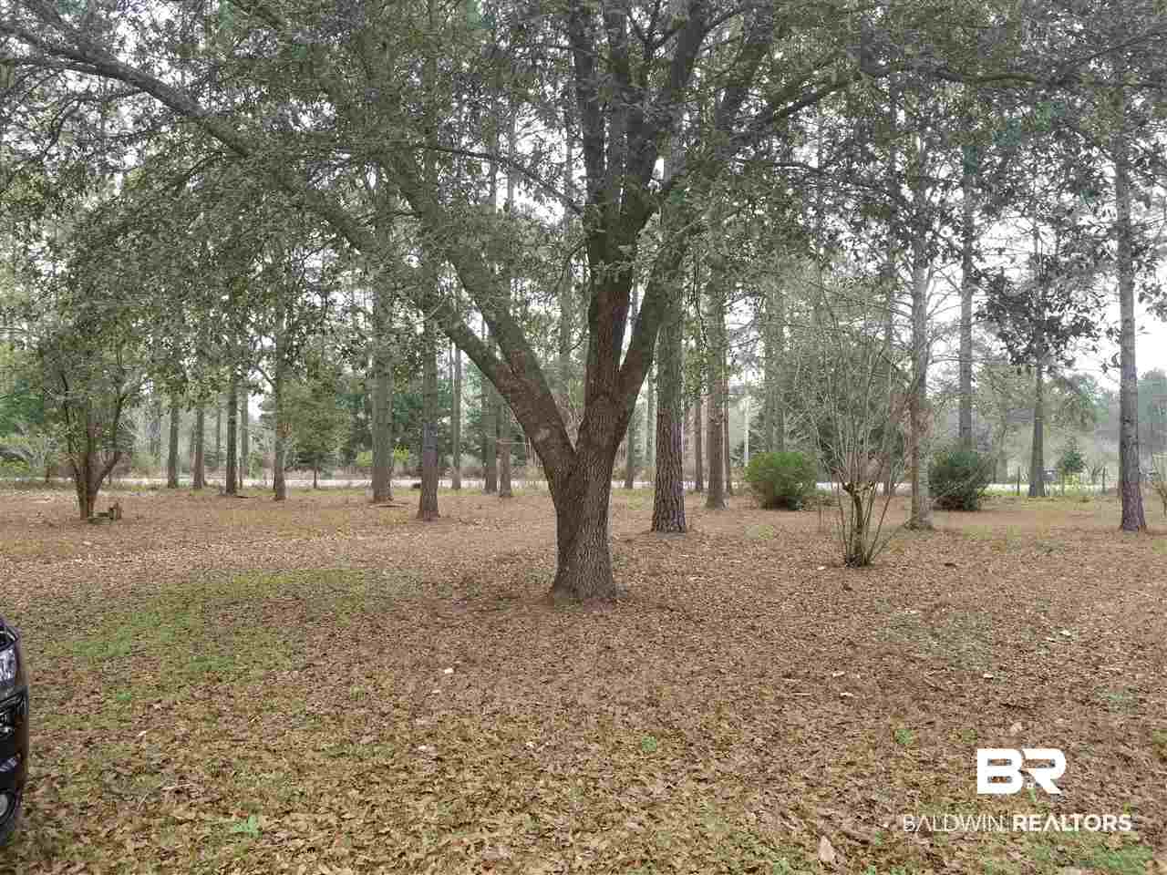 25945 Ponderosa Farm Road West Robertsdale, AL 36567 - Photo 5 of 15