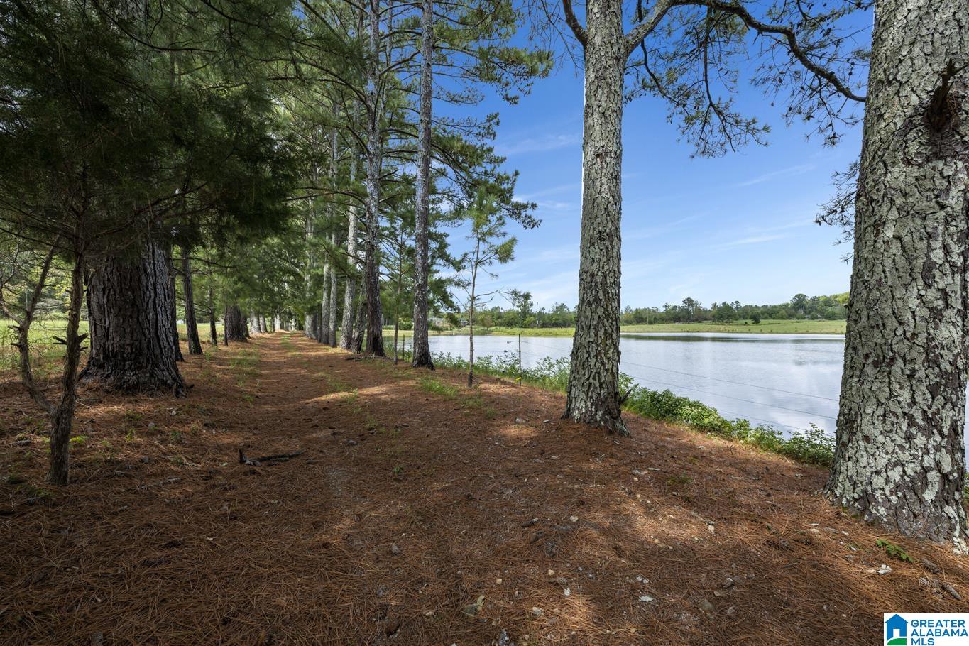 44 Nunnally Lake Road Ohatchee, AL 36271 - Photo 20 of 90