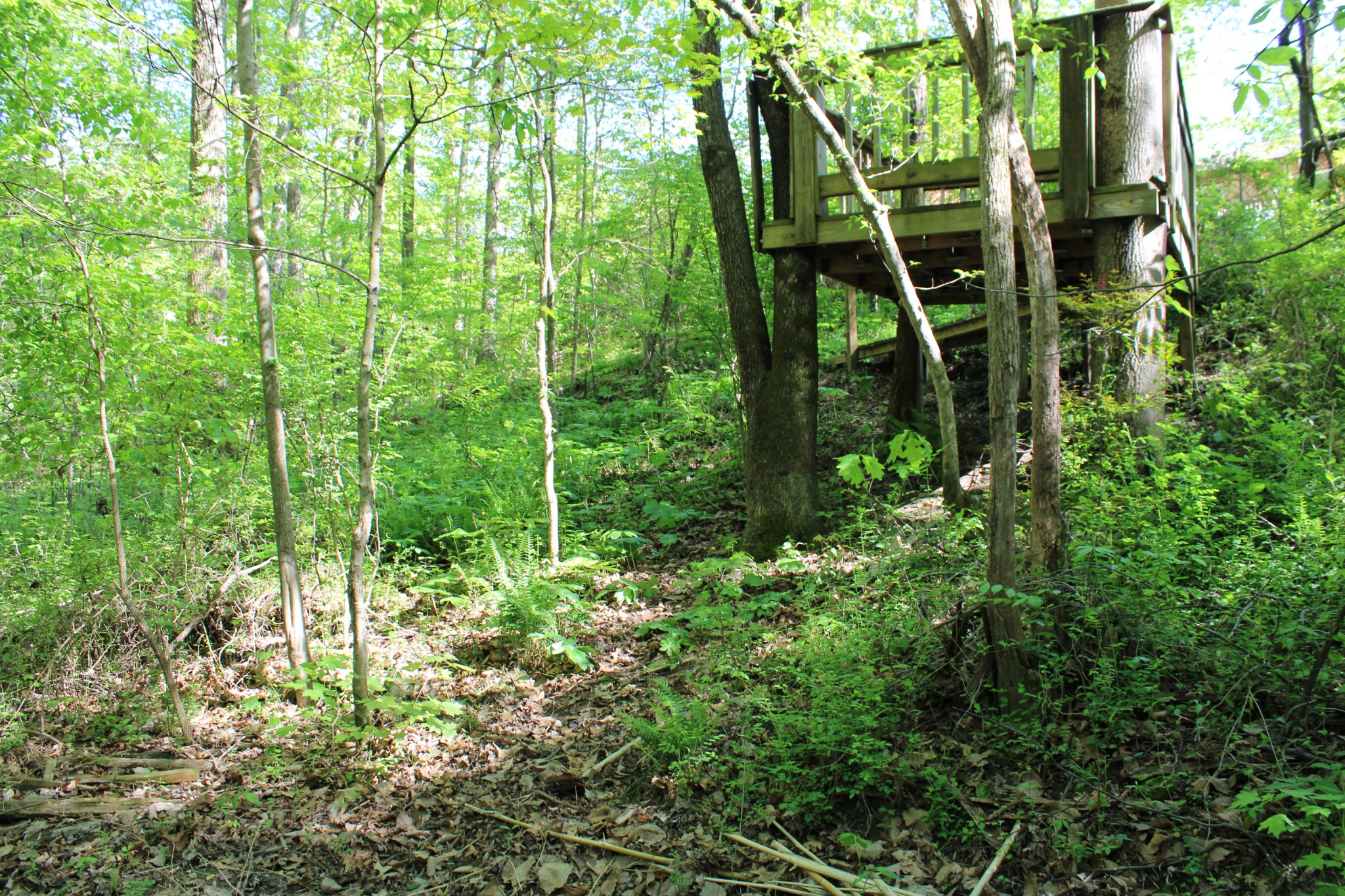 405 Blue Road Dickson, TN 37055 - Photo 16 of 17 Gallery Image 16