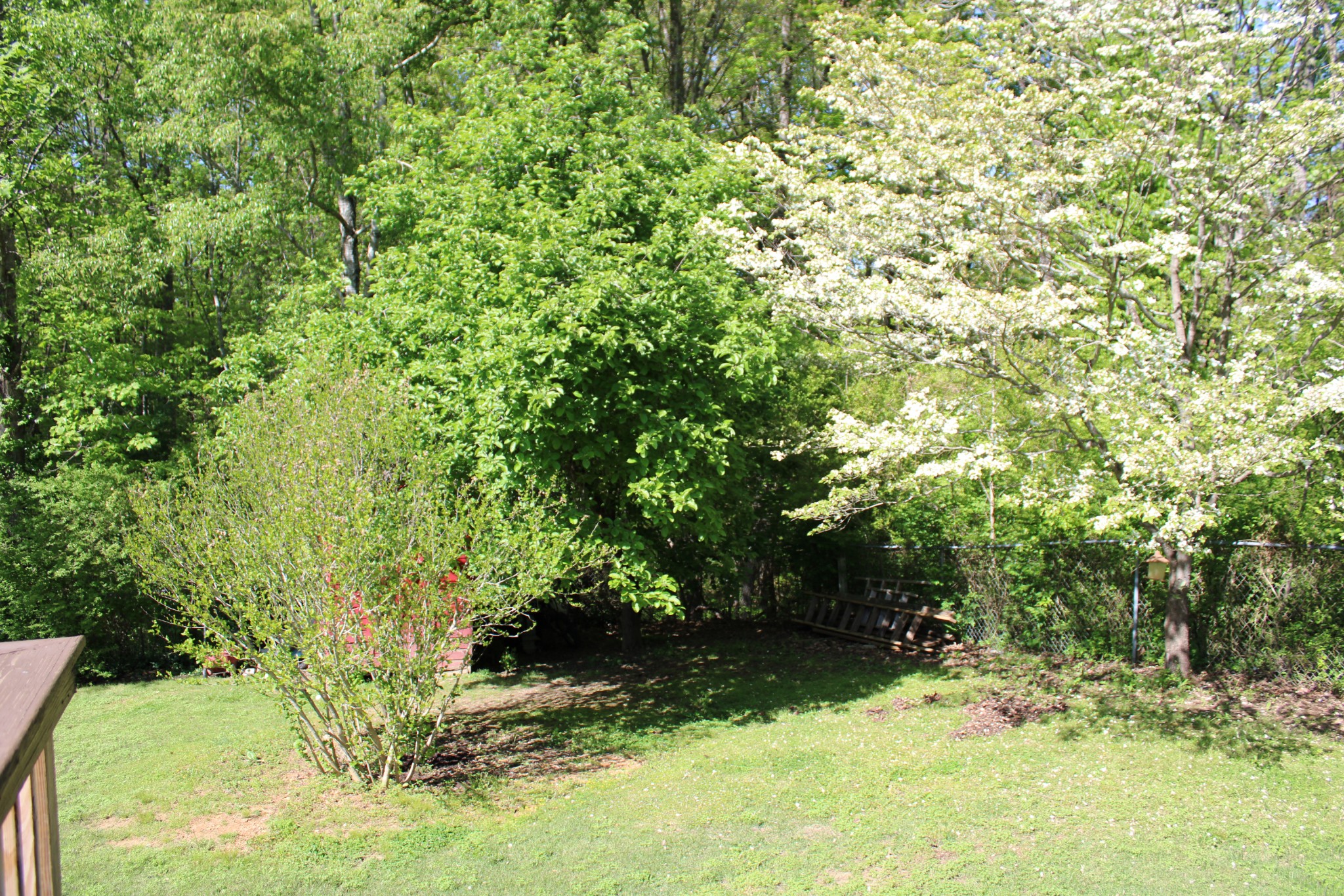 405 Blue Road Dickson, TN 37055 - Photo 17 of 17 Gallery Image 17