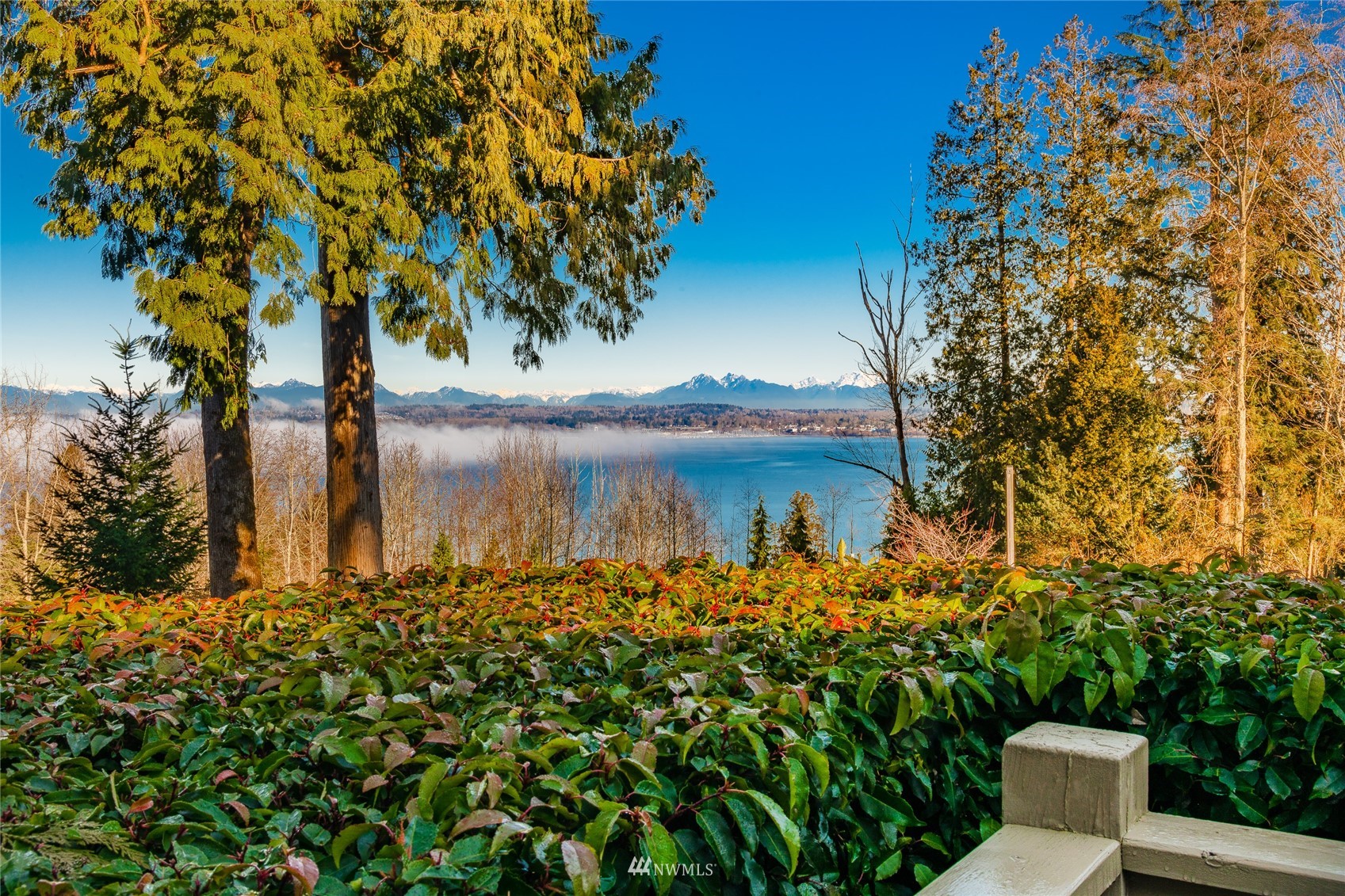 5416 Canvasback Road Blaine, WA 98230 - Photo 12 of 12 a view of a yard