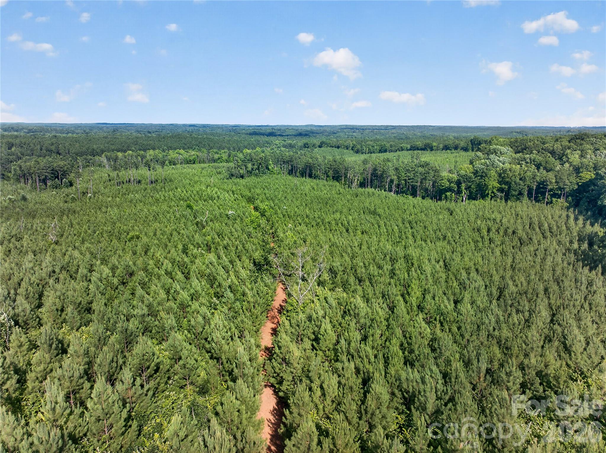 0 Blanton Road, Unit 2 Sharon, SC 29742 - Photo 17 of 43