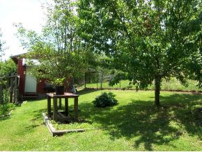 145 Pierce Branch Road Elizabethton, TN 37643 - Photo 20 of 24 Workshop and fruit trees