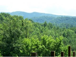 145 Pierce Branch Road Elizabethton, TN 37643 - Photo 2 of 24 View from lower level deck