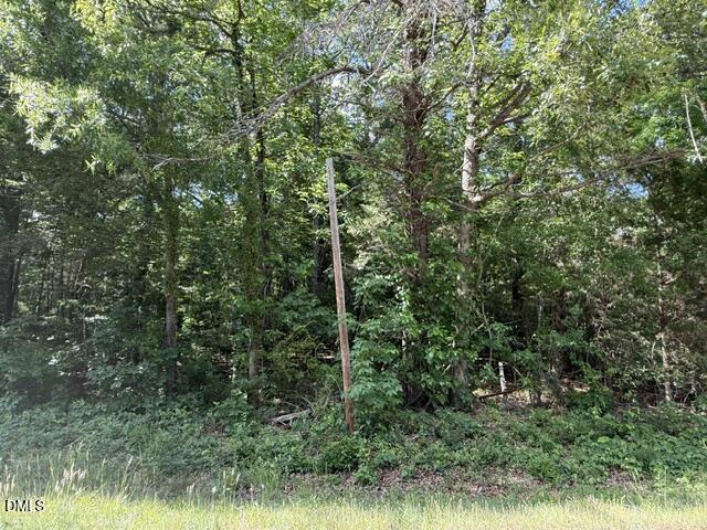 3415 Mt Willing Road Efland, NC 27243 - Photo 36 of 36 a view of a lush green forest