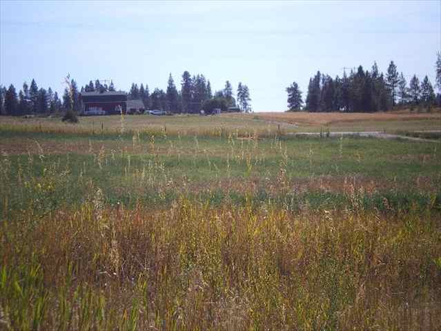1506 West Wild Rose Road Colbert, WA 99005 - Photo 7 of 7