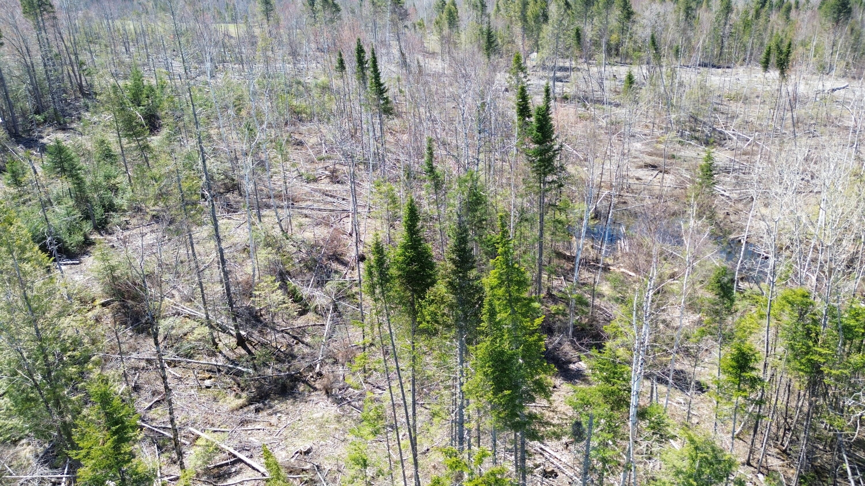 1-31c B Road Houlton, ME 04730 - Photo 3 of 4 DJI_0198