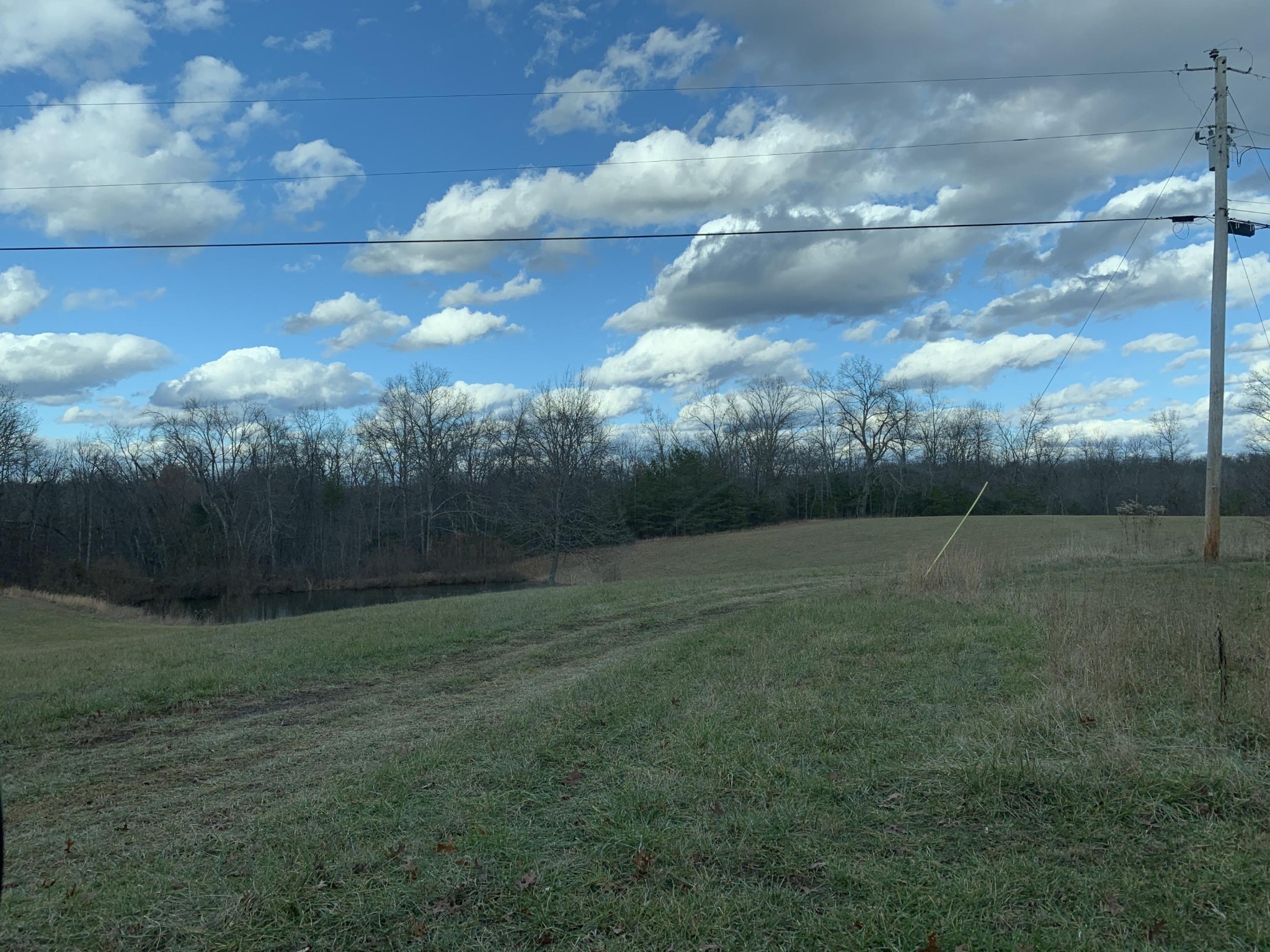 171 Jim McGill Road Deer Lodge, TN 37726 - Photo 32 of 36