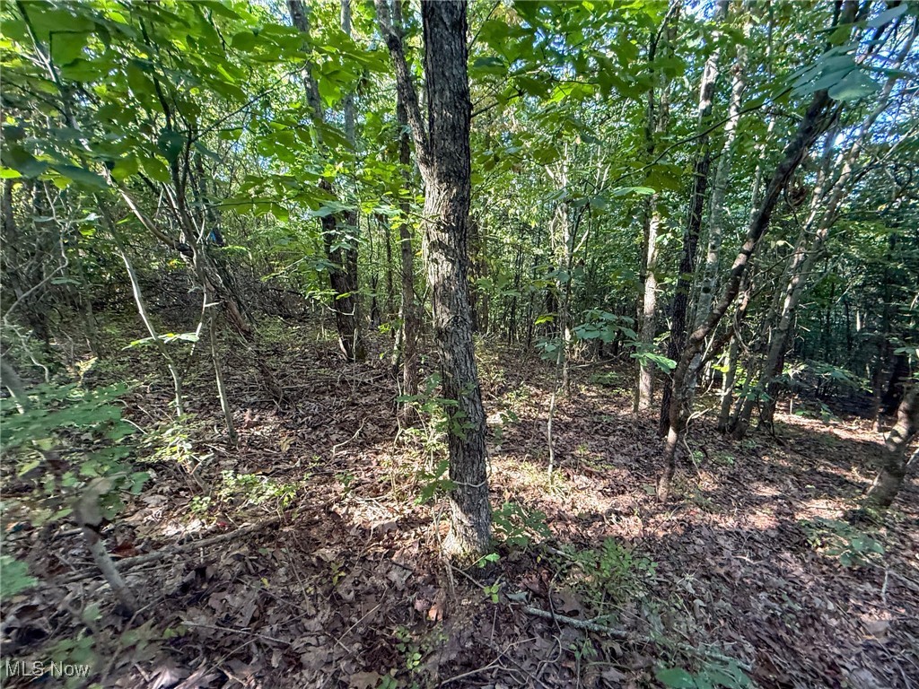 Mudsoc Road Patriot, OH 45658 - Photo 23 of 23 View of wooded area