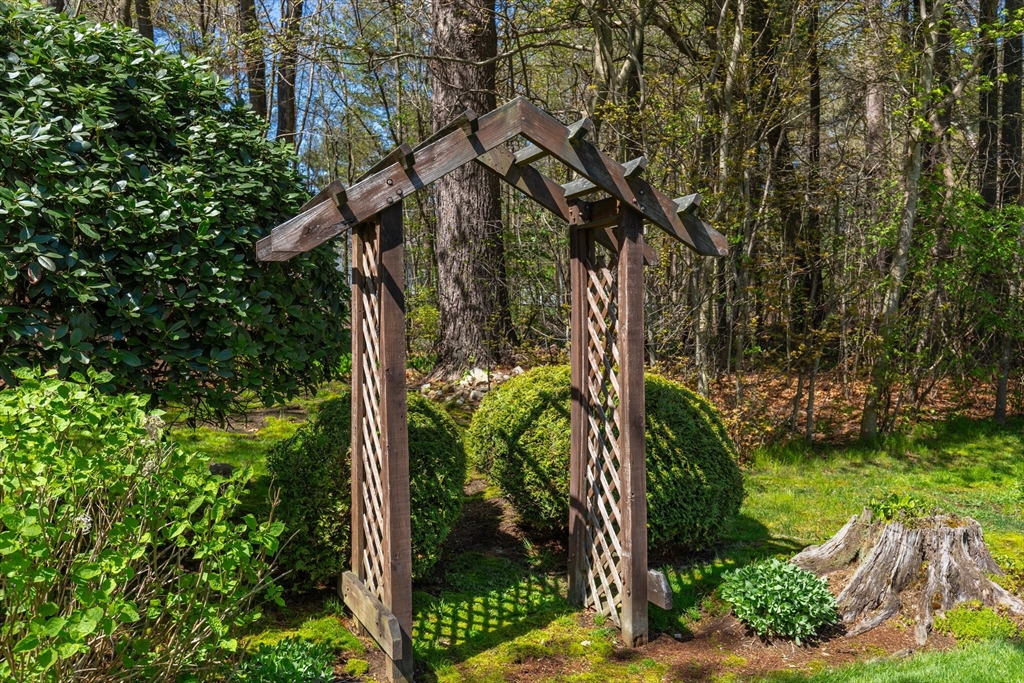 25 Bellflower Road Billerica, MA 01821 - Photo 33 of 40 a view of a yard with plants and trees