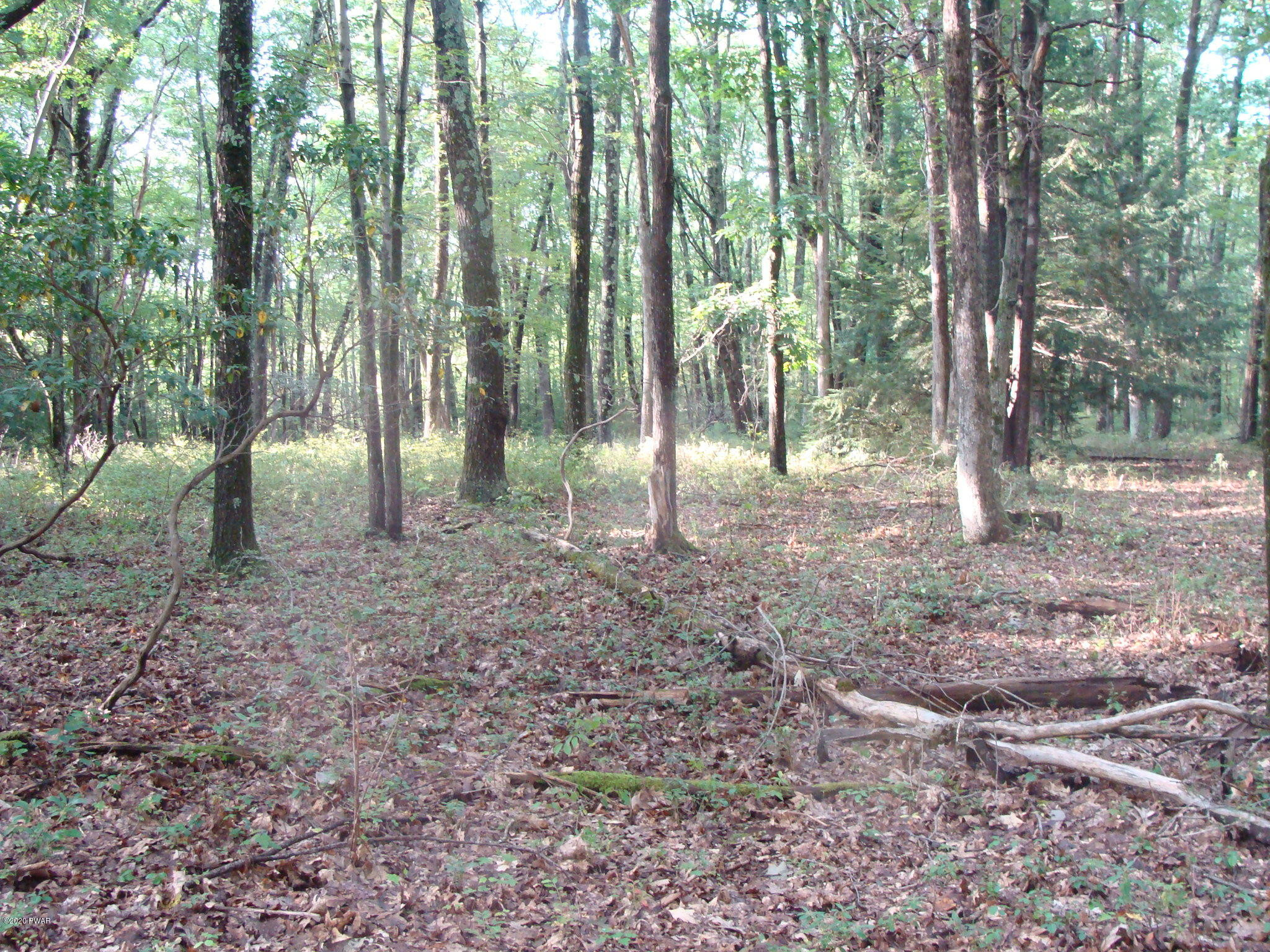 Perry Road Greentown, PA 18426 - Photo 3 of 4