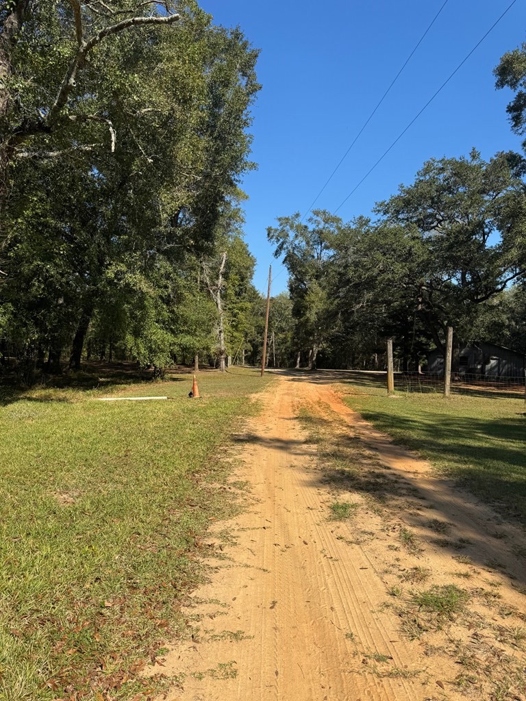 0 Russell Road Samson, AL 36477 - Photo 32 of 32 2nd Enterance