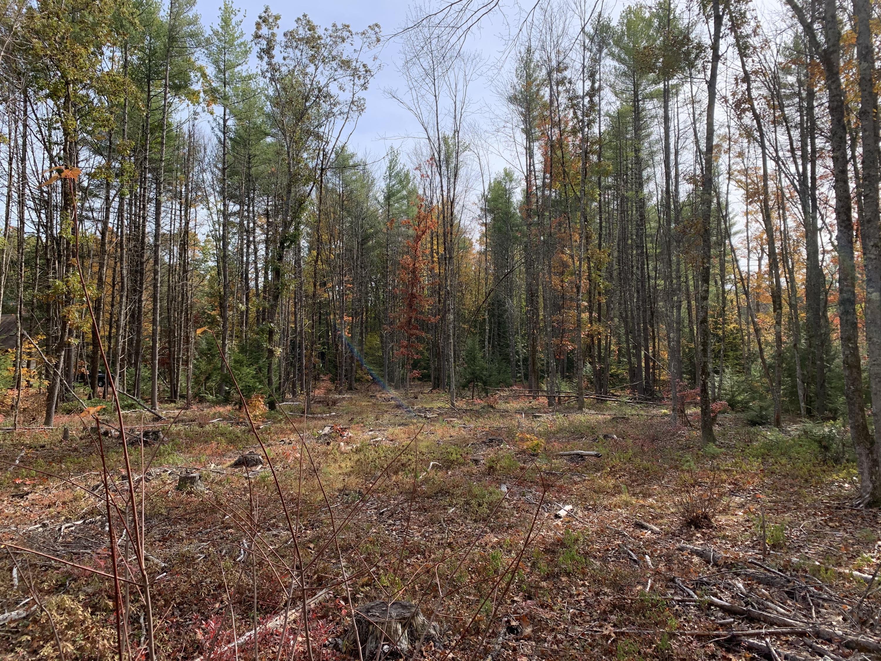 0 Wire Road Wells, ME 04090 - Photo 2 of 19 IMG_0934