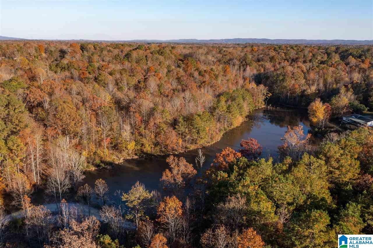 300 Henderson Lake Road Sylacauga, AL 35151 - Photo 13 of 20