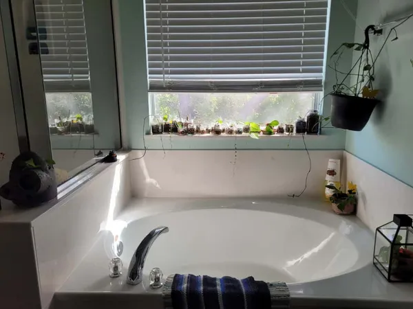 a view of balcony and painting