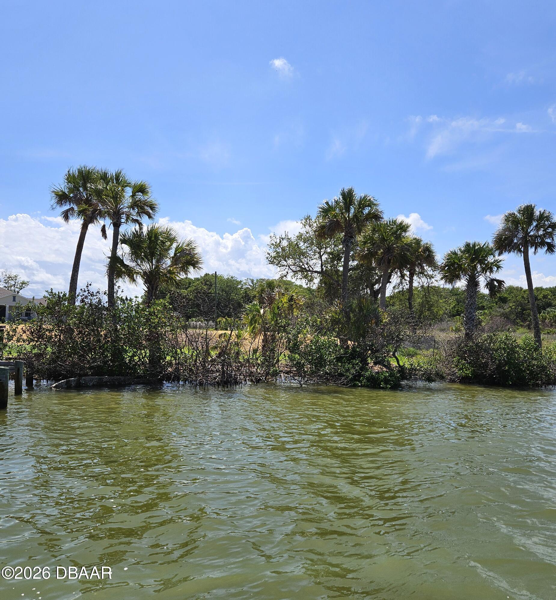0 Jones Fish Camp Road Edgewater, FL 32141 - Photo 9 of 14 river south lot 1