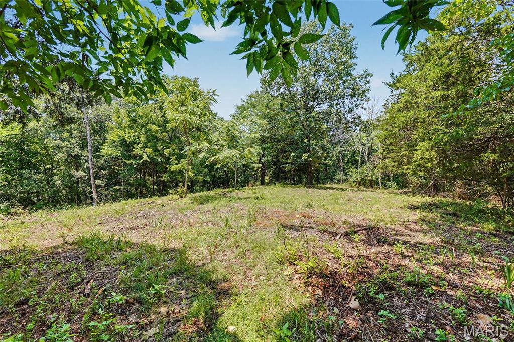 1410 St Paul Road Ballwin, MO 63021 - Photo 3 of 9