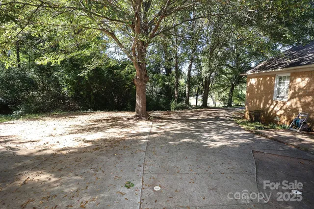 a view of a yard with a tree