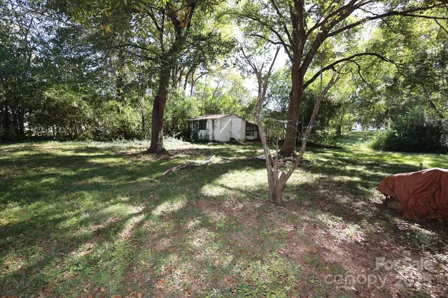 a view of a trees in a yard