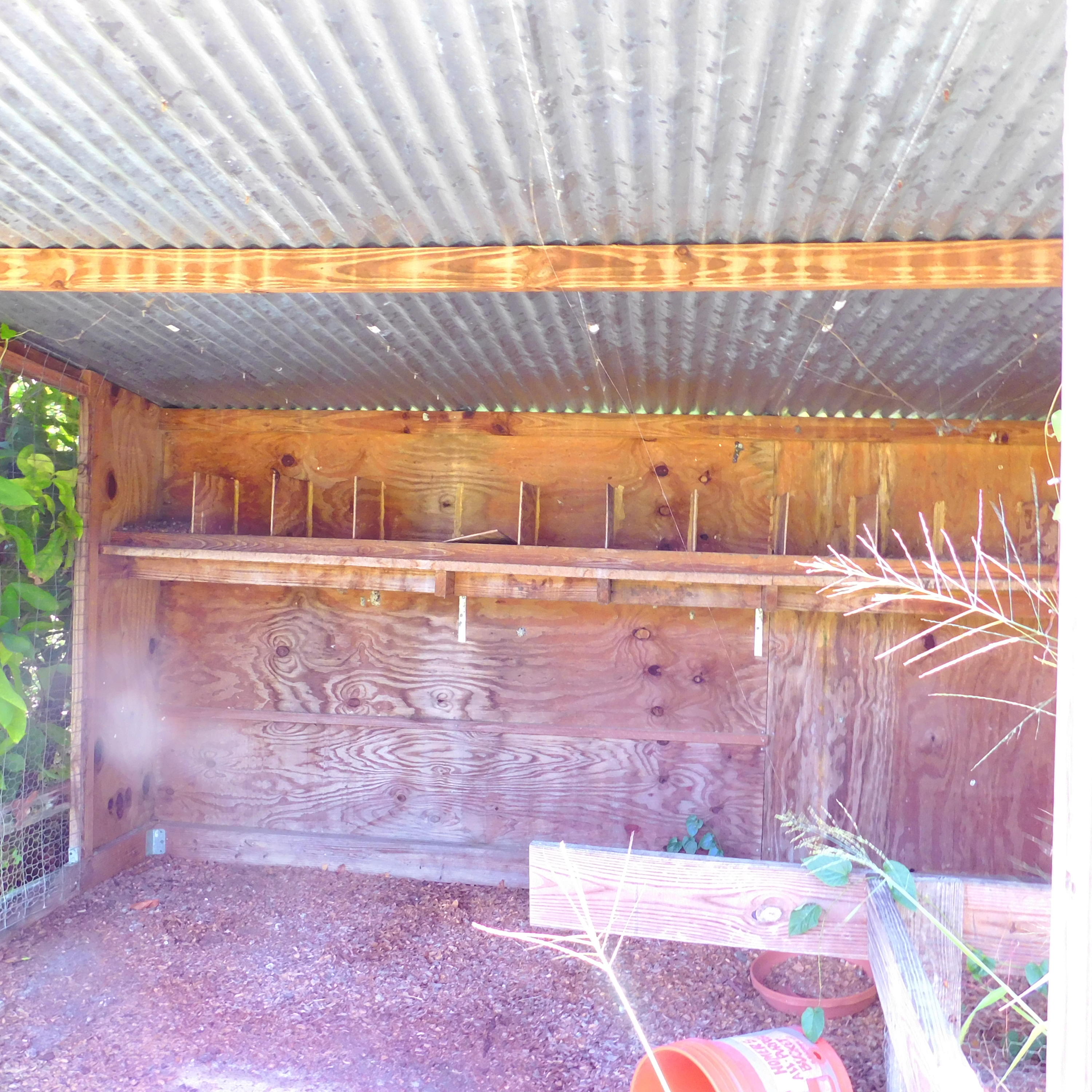 14188 N Road Loxahatchee Groves, FL 33470 - Photo 13 of 23 CHICKEN COOP
