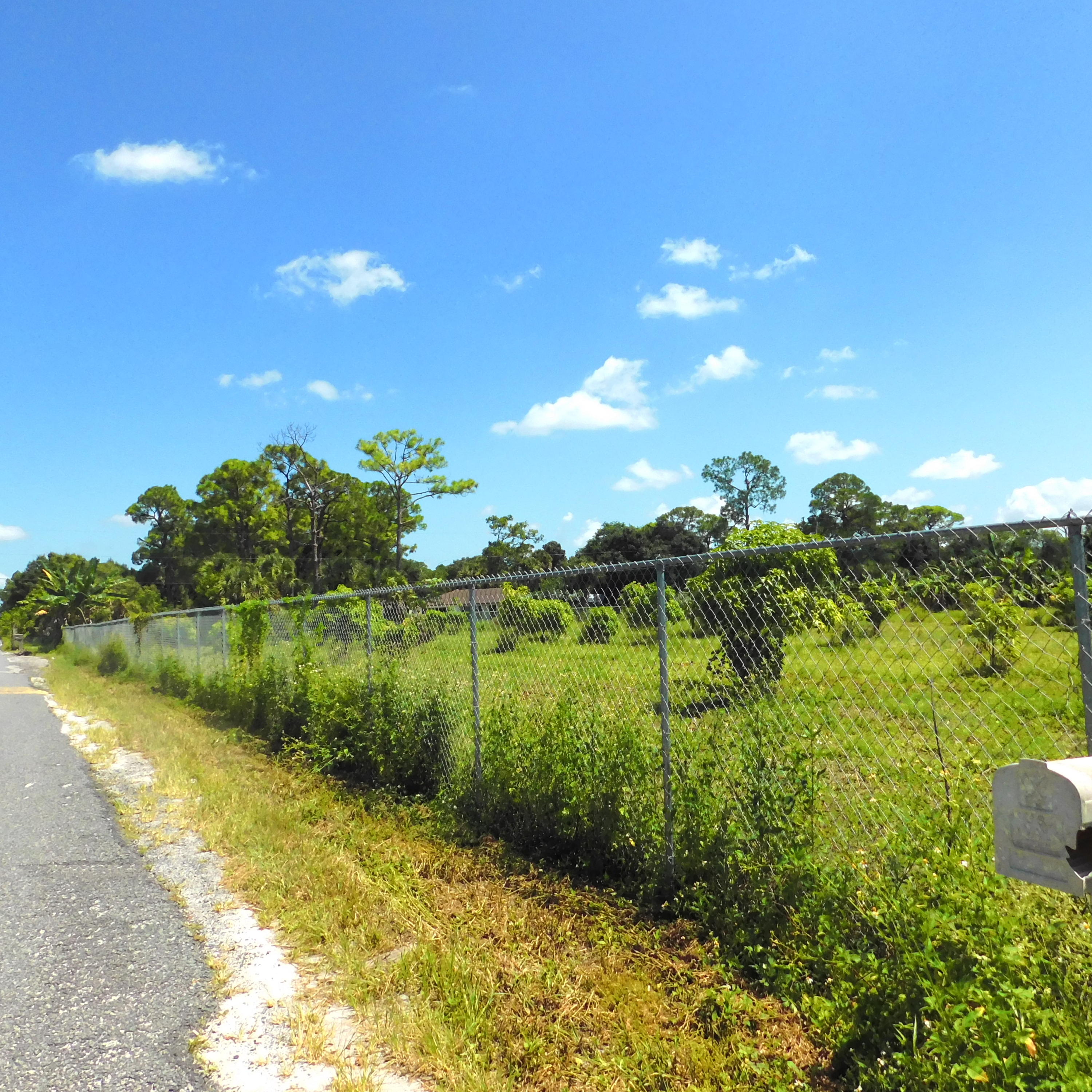 14188 N Road Loxahatchee Groves, FL 33470 - Photo 14 of 23 FENCED