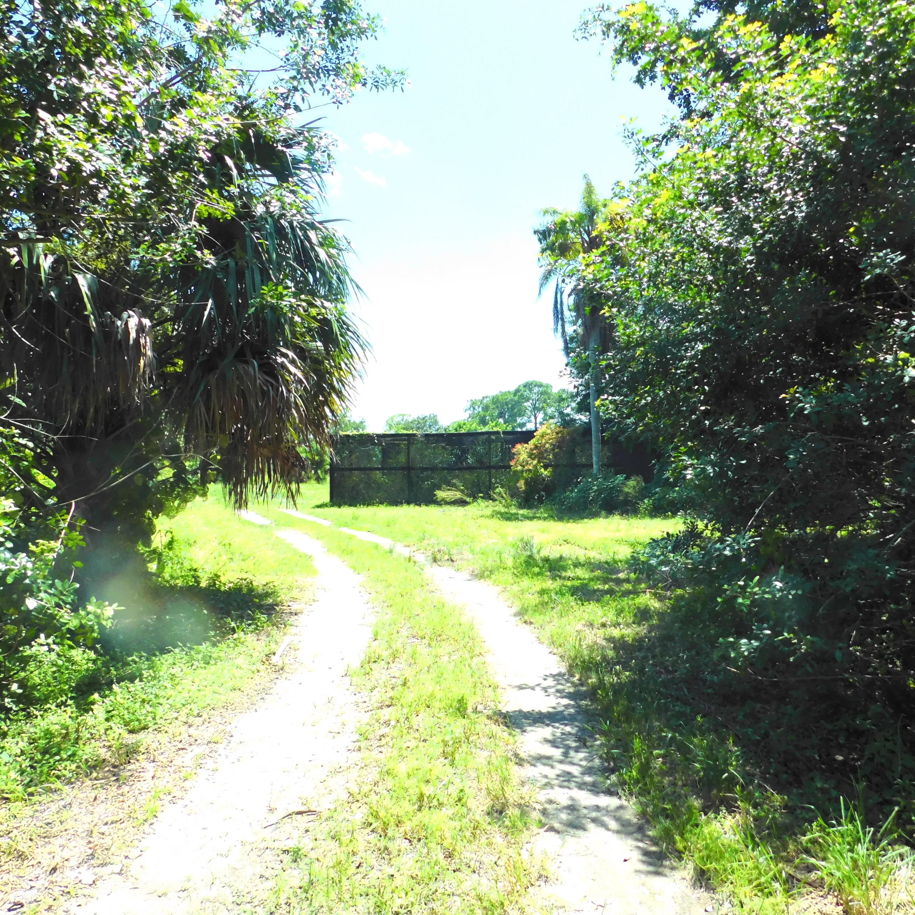 14188 N Road Loxahatchee Groves, FL 33470 - Photo 5 of 23 SHADE HOUSE