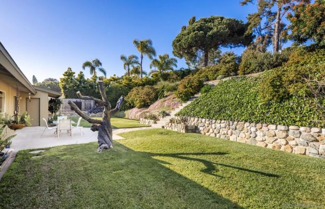 a view of a garden with a tree