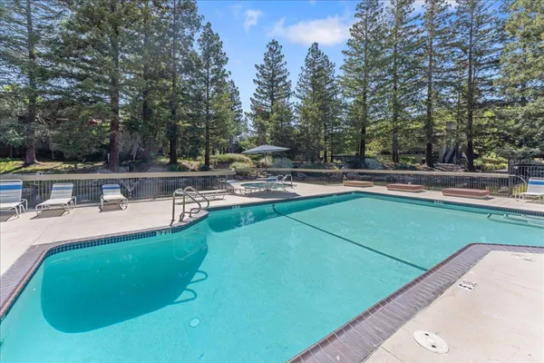 a view of a swimming pool with outdoor seating and plants