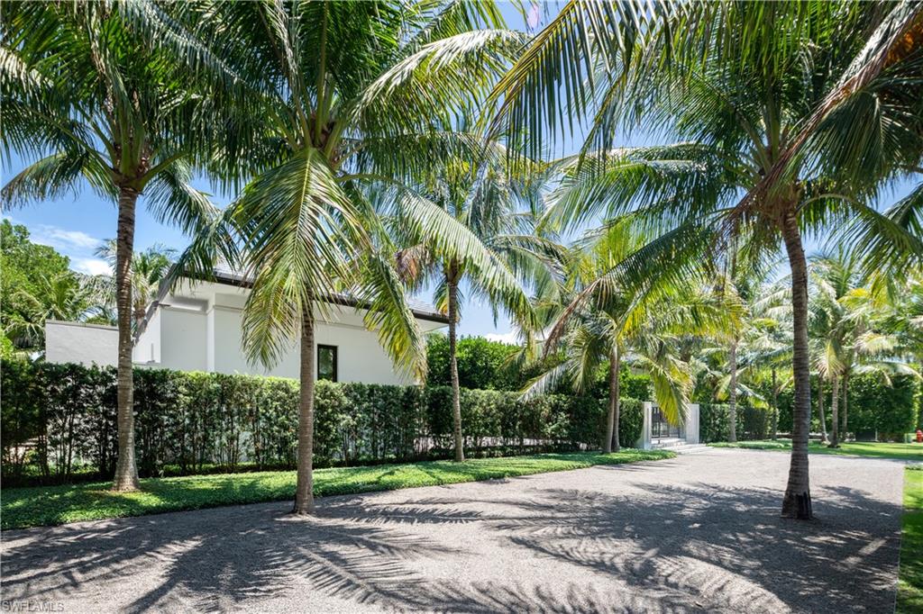 3655 Fort Charles Drive Naples, FL 34102 - Photo 42 of 50 a view of a palm trees in front of a house