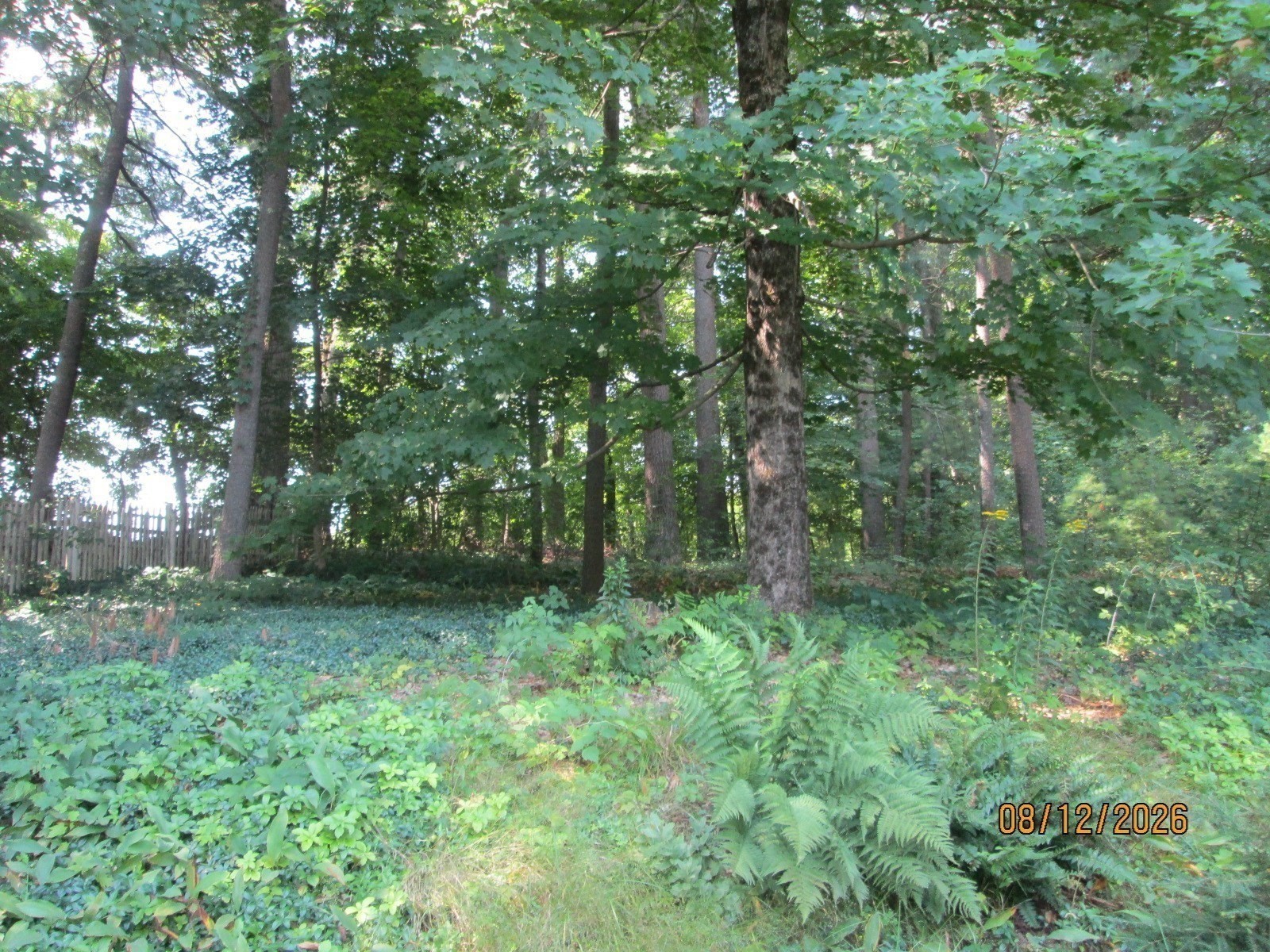 9 Laws Brook Road Acton, MA 01720 - Photo 29 of 30 Gallery Image 29