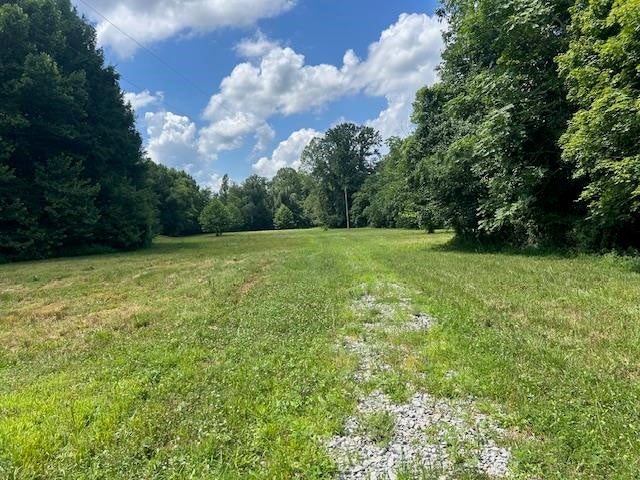0 Mt Tussell Road Knifley, KY 42753 - Photo 15 of 46 Gallery Image 15