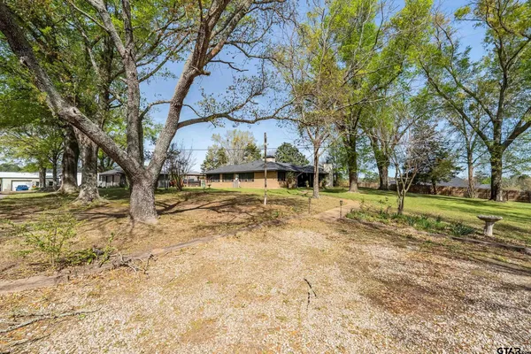 a view of a yard with a tree