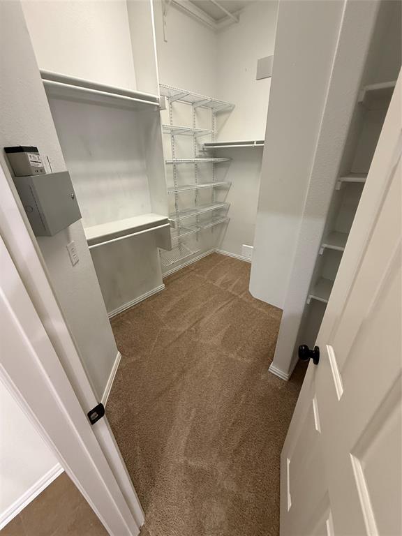 213 Bugle Call Road Forney, TX 75126 - Photo 17 of 40 walk in closet