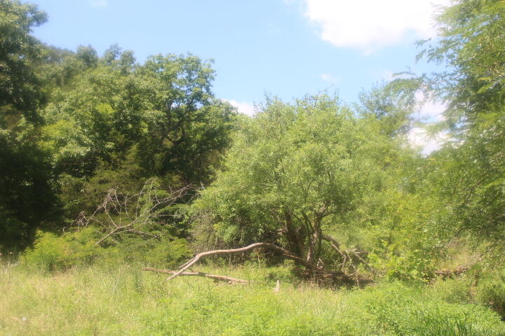 3176 South 170th Road Bolivar, MO 65613 - Photo 34 of 63 IMG_7583