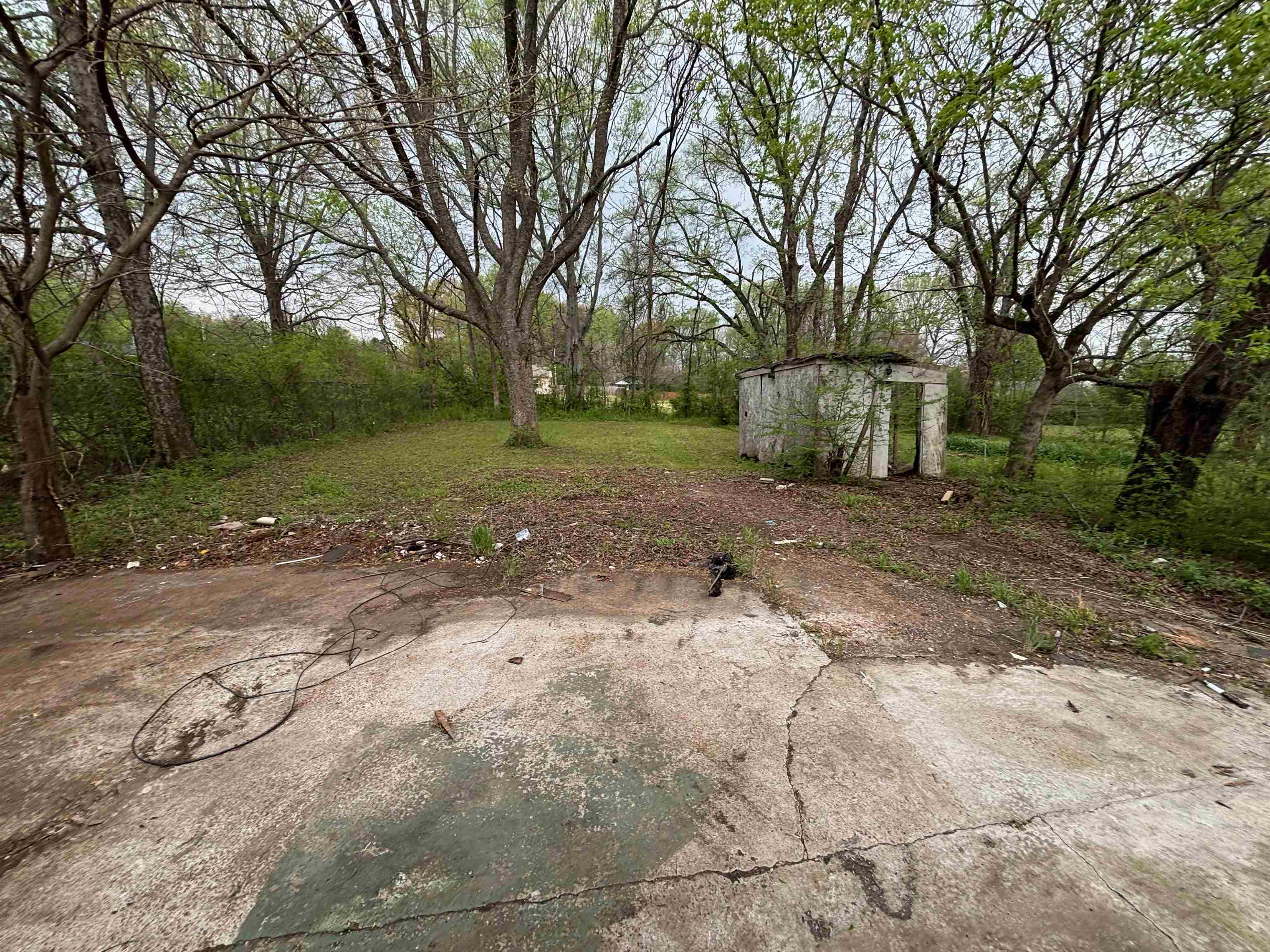 3043 Sax Road Memphis, TN 38109 - Photo 9 of 9 a view of a yard with a tree