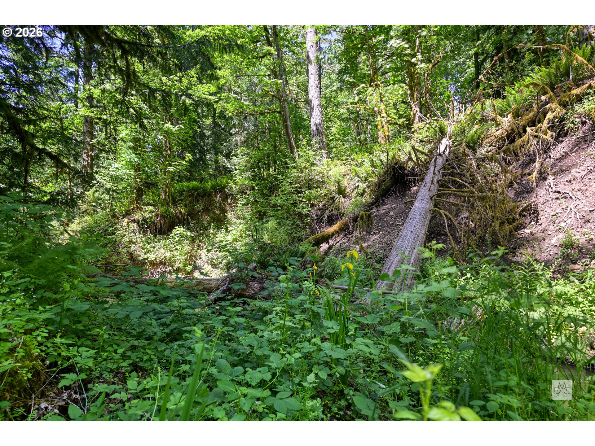 23380 Southeast Howlett Road Eagle Creek, OR 97022 - Photo 42 of 47 Gallery Image 42