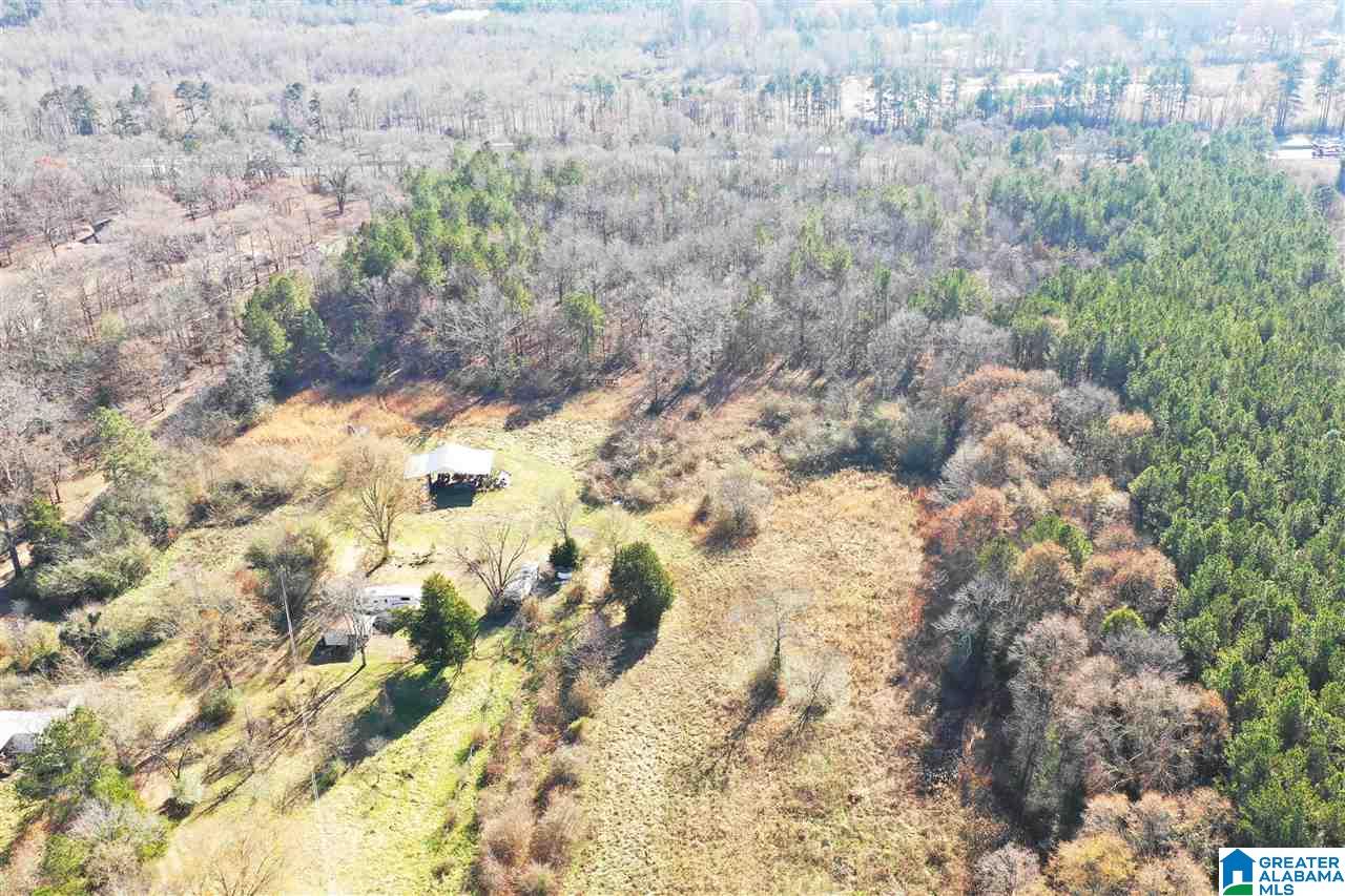 885 County Line Road West, Unit 11 ACRES Eastaboga, AL 36260 - Photo 14 of 17