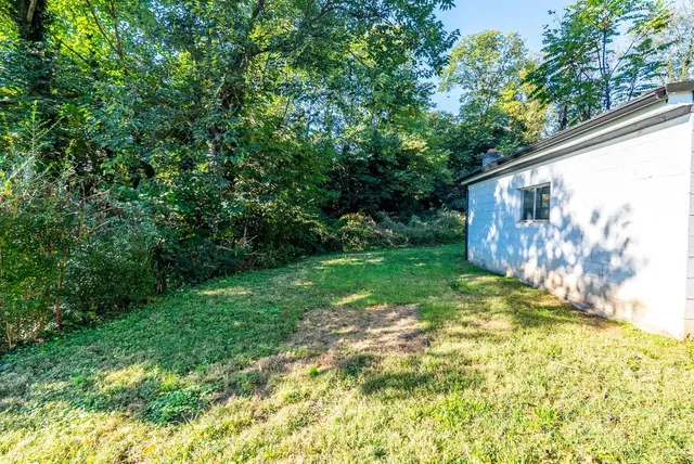a backyard of a house with plants and large trees