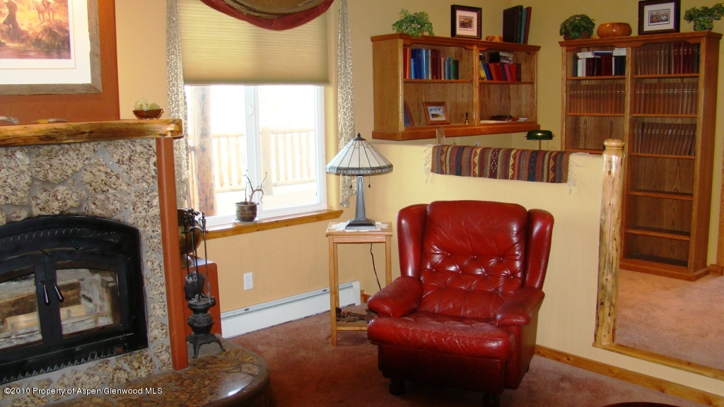 3799 County Road 233 Rifle, CO 81650 - Photo 10 of 23 Fireplace