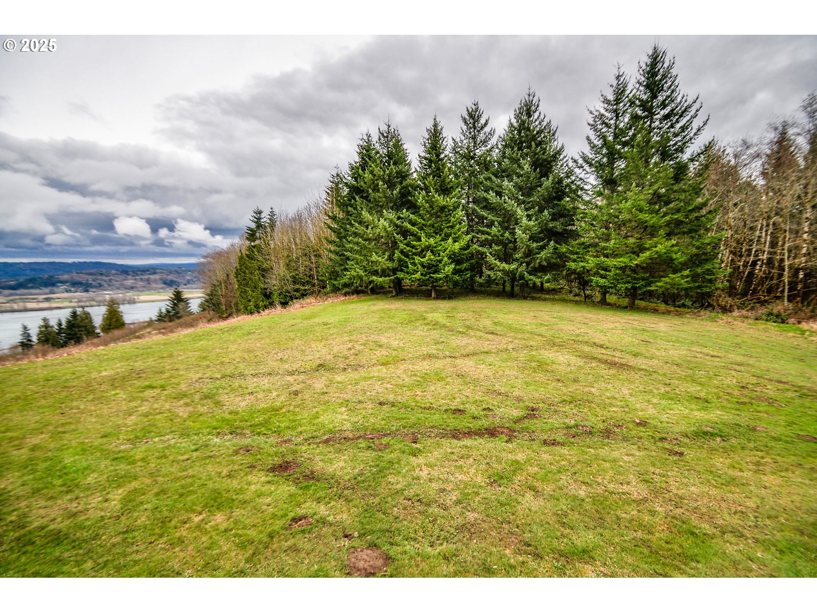 78342 Alston Mayger Road Rainier, OR 97048 - Photo 26 of 39 Yard