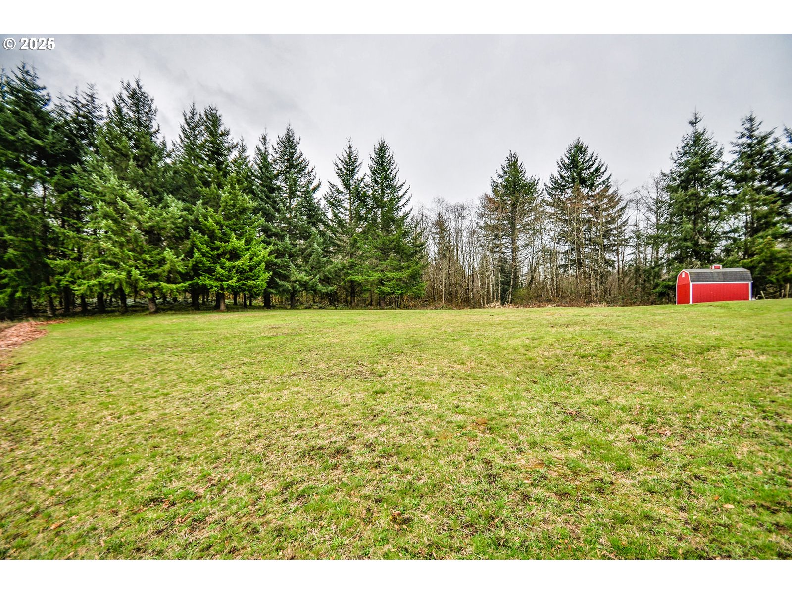 78342 Alston Mayger Road Rainier, OR 97048 - Photo 33 of 39 Yard