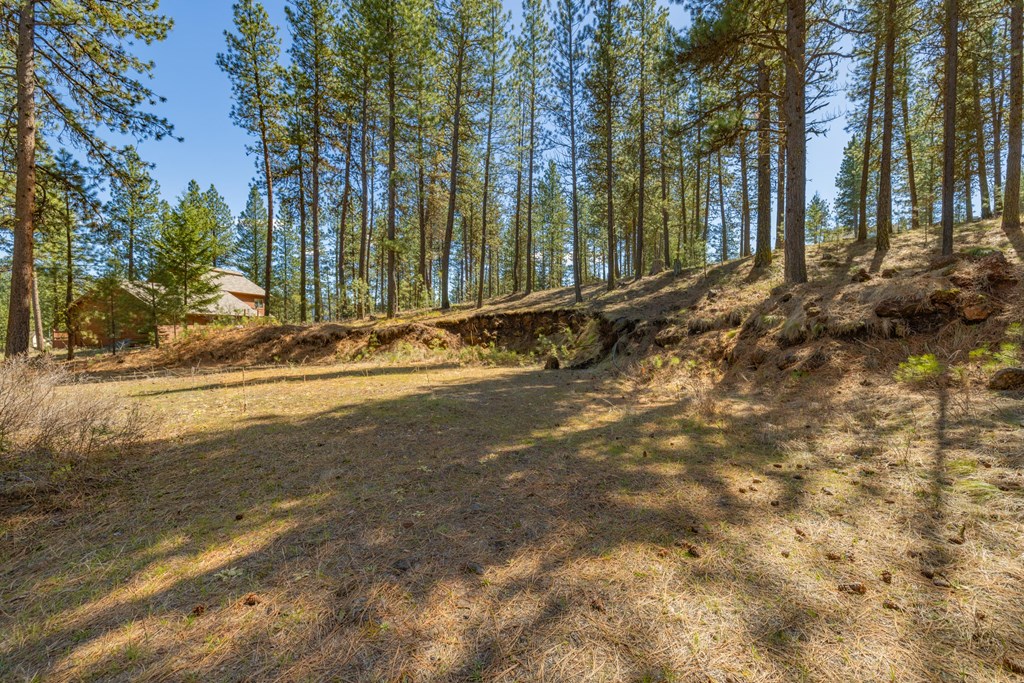 3919 Hot Springs Road, Unit 27 New Meadows, ID 83654 - Photo 3 of 23