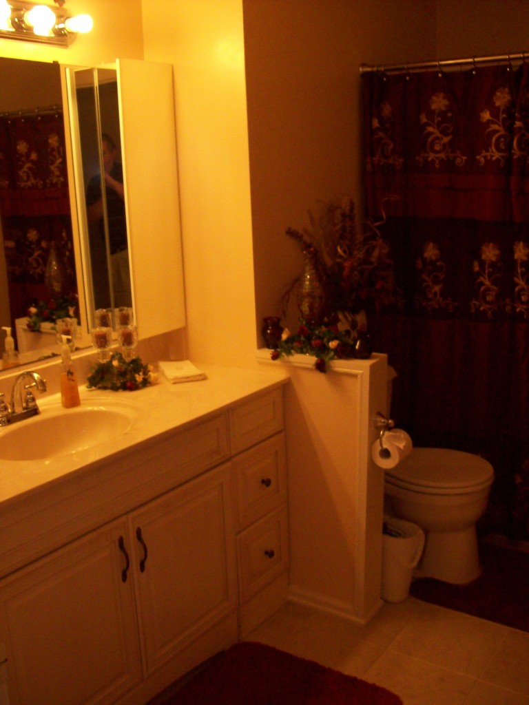 356 Pin Oak Drive Blue Ridge, VA 24064 - Photo 22 of 38 Hall Bath w/Marble Tile Flooring