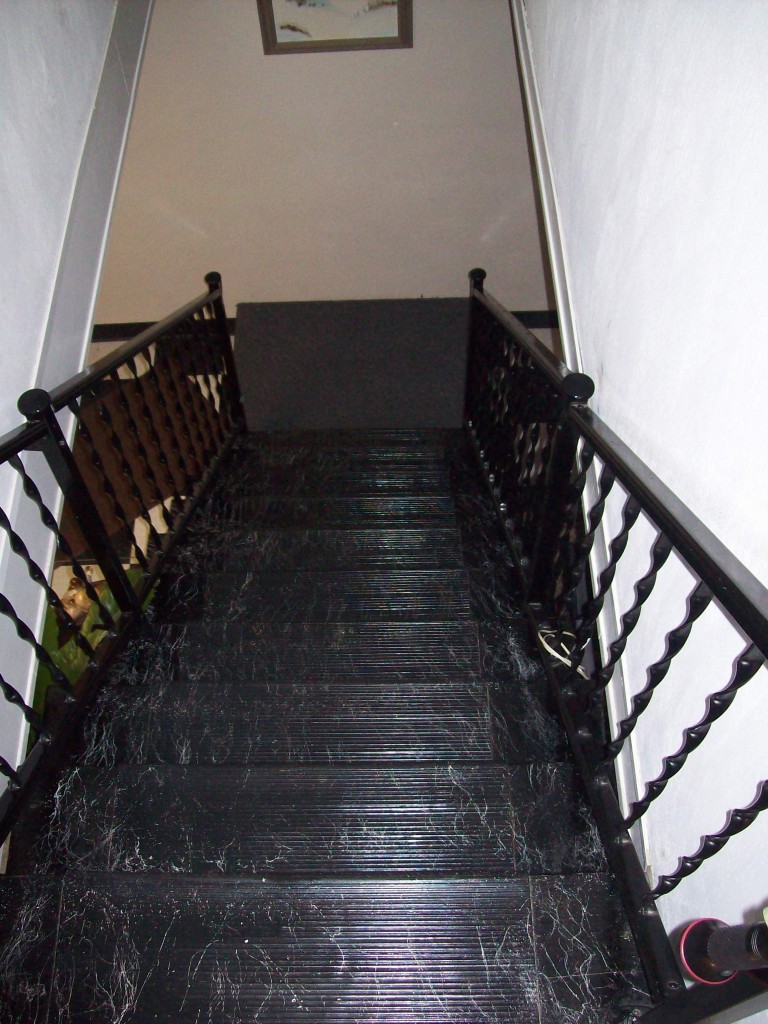 356 Pin Oak Drive Blue Ridge, VA 24064 - Photo 24 of 38 Stairway to Lower Level