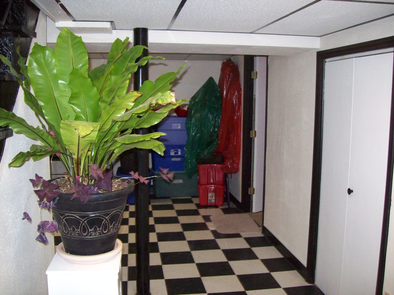 356 Pin Oak Drive Blue Ridge, VA 24064 - Photo 27 of 38 Lower Level Hallway Area