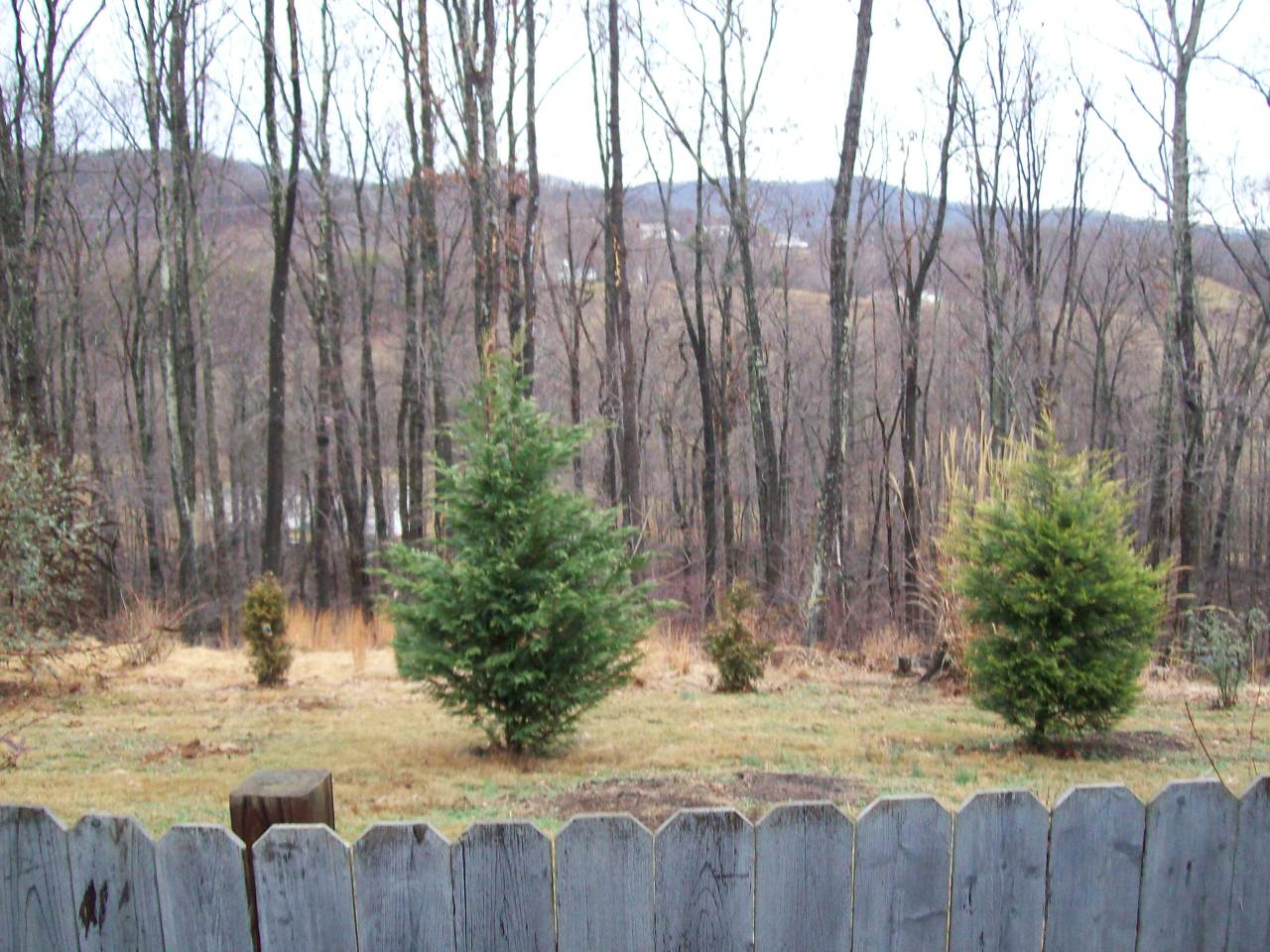 356 Pin Oak Drive Blue Ridge, VA 24064 - Photo 32 of 38 View of Back Lot past Fence Line