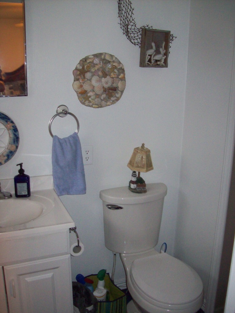 356 Pin Oak Drive Blue Ridge, VA 24064 - Photo 9 of 38 Master Bath w/Walk-In Shower